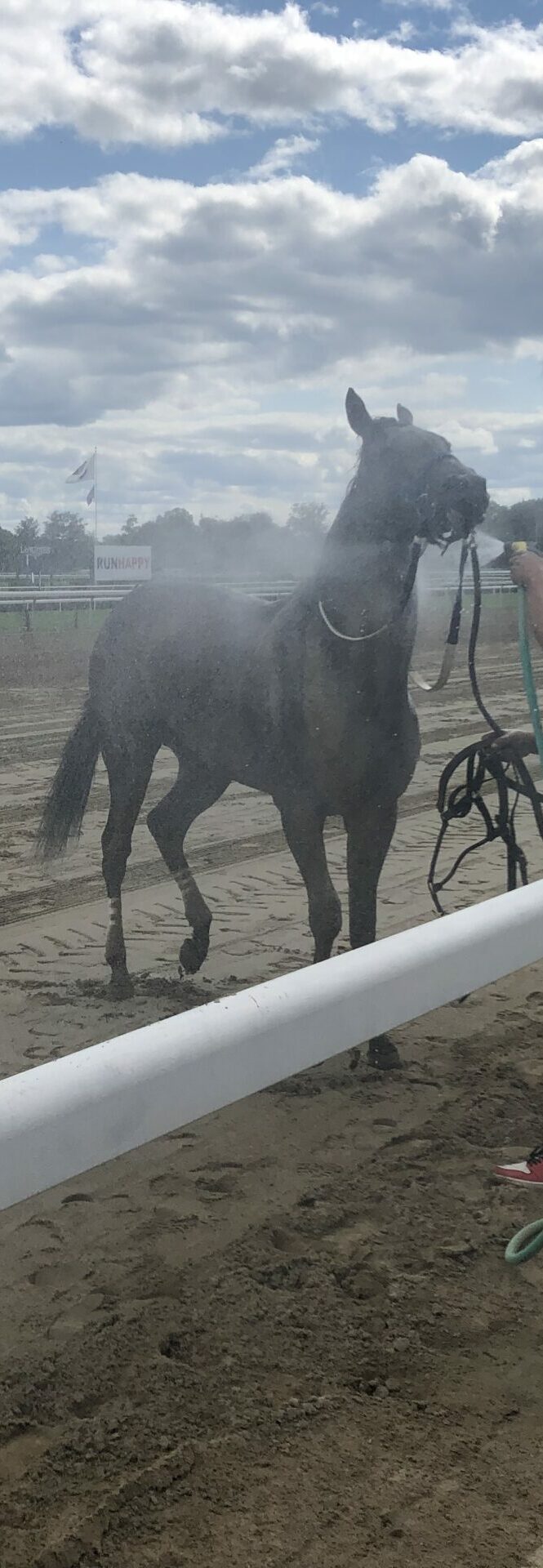 Aqueduct selcetions for November 13th, 2021