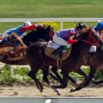 Gulfstream Park Selections for 12/20/2025