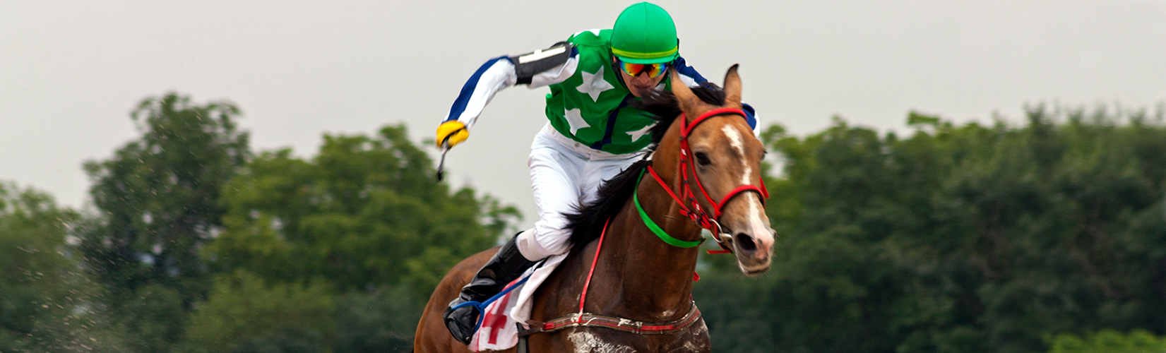 LESSONS LEARNED - Principal Handicapping | NY & NJ Horse Racing