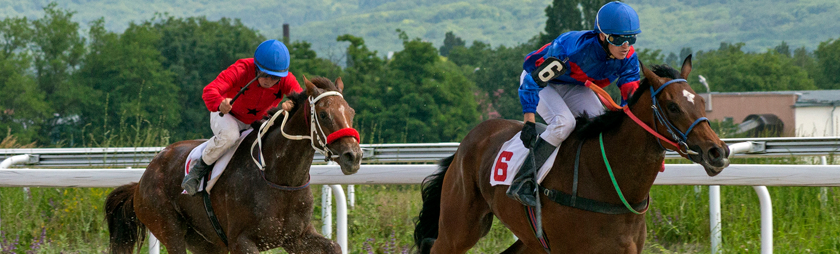 LESSONS TAUGHT Principal Handicapping NY & NJ Horse Racing