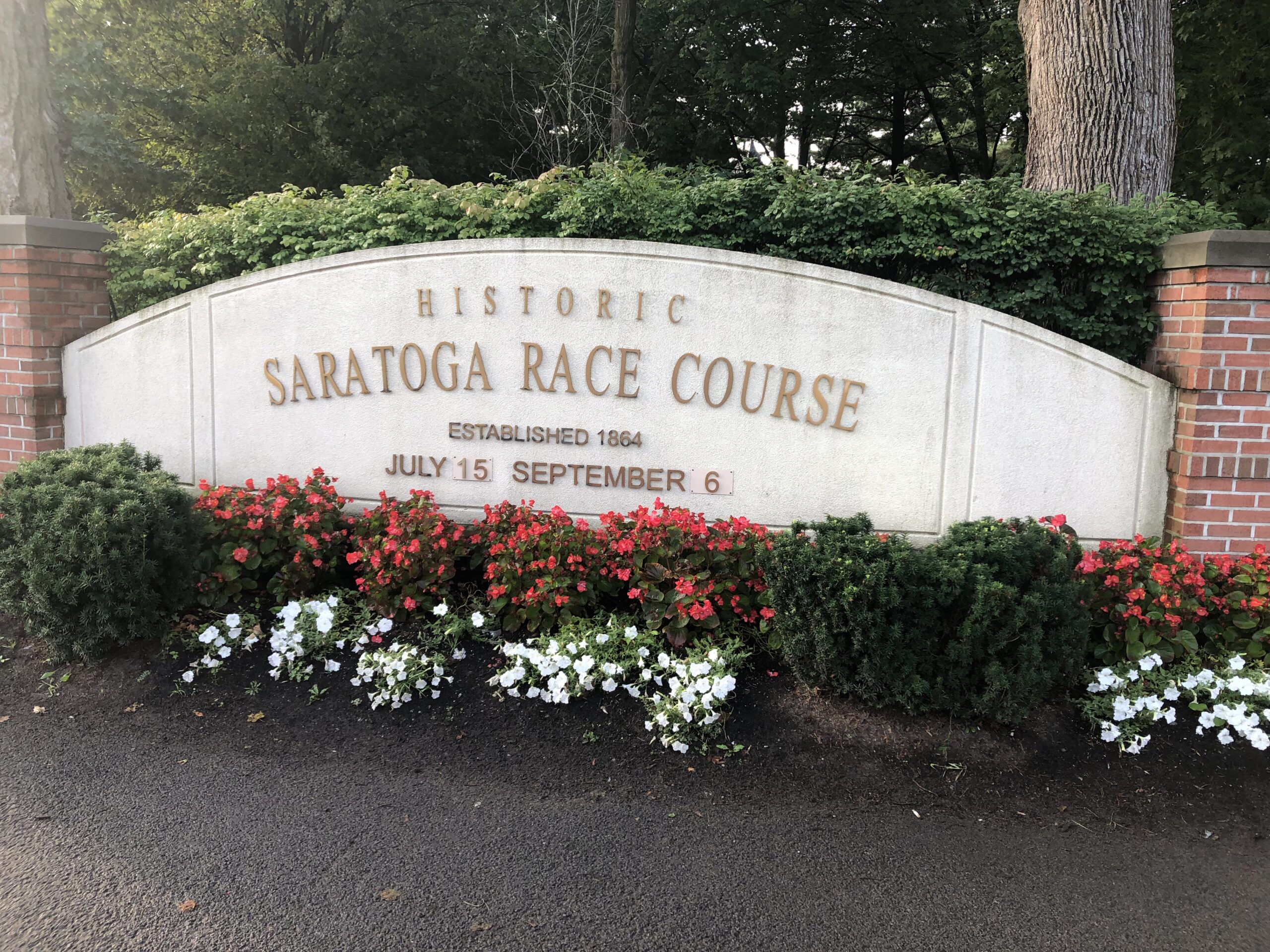 Review of The 2021 Saratoga Meet