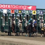 Parx Selections Wednesday, November 3rd, 2021