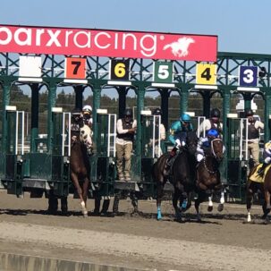 Parx Selections Wednesday, November 3rd, 2021