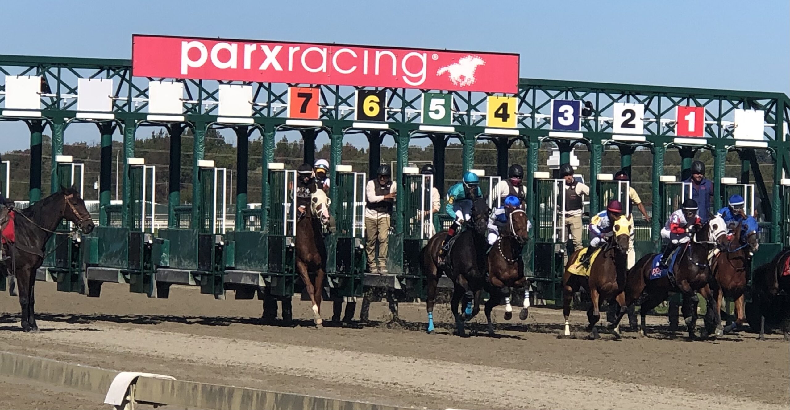 Parx Selections Wednesday, November 3rd, 2021