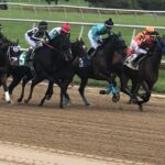 Aqueduct Selections for November 14th, 2021