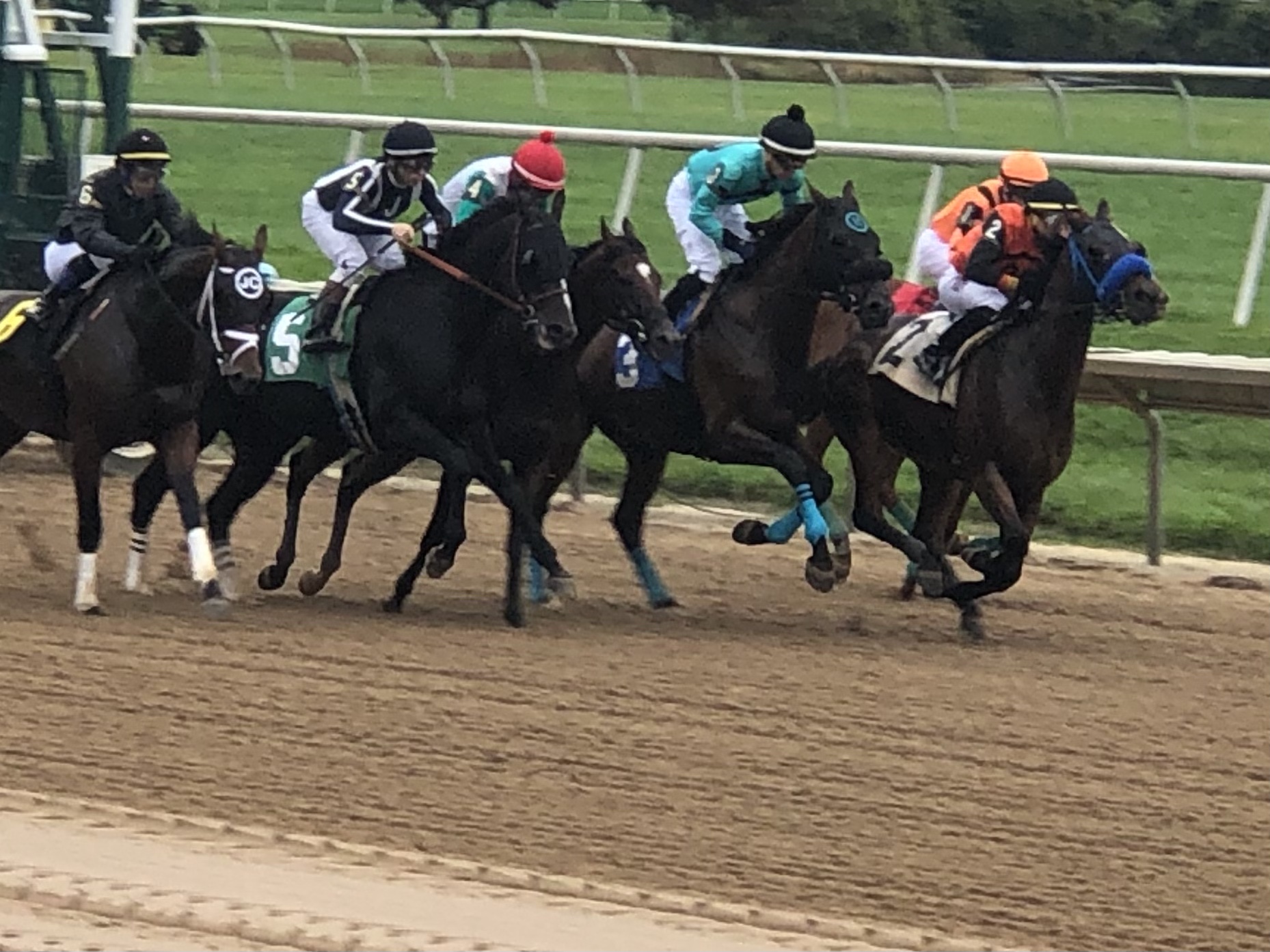 Aqueduct Selections for November 14th, 2021 Principal Handicapping