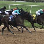 Aqueduct Selections for November 12th, 2021