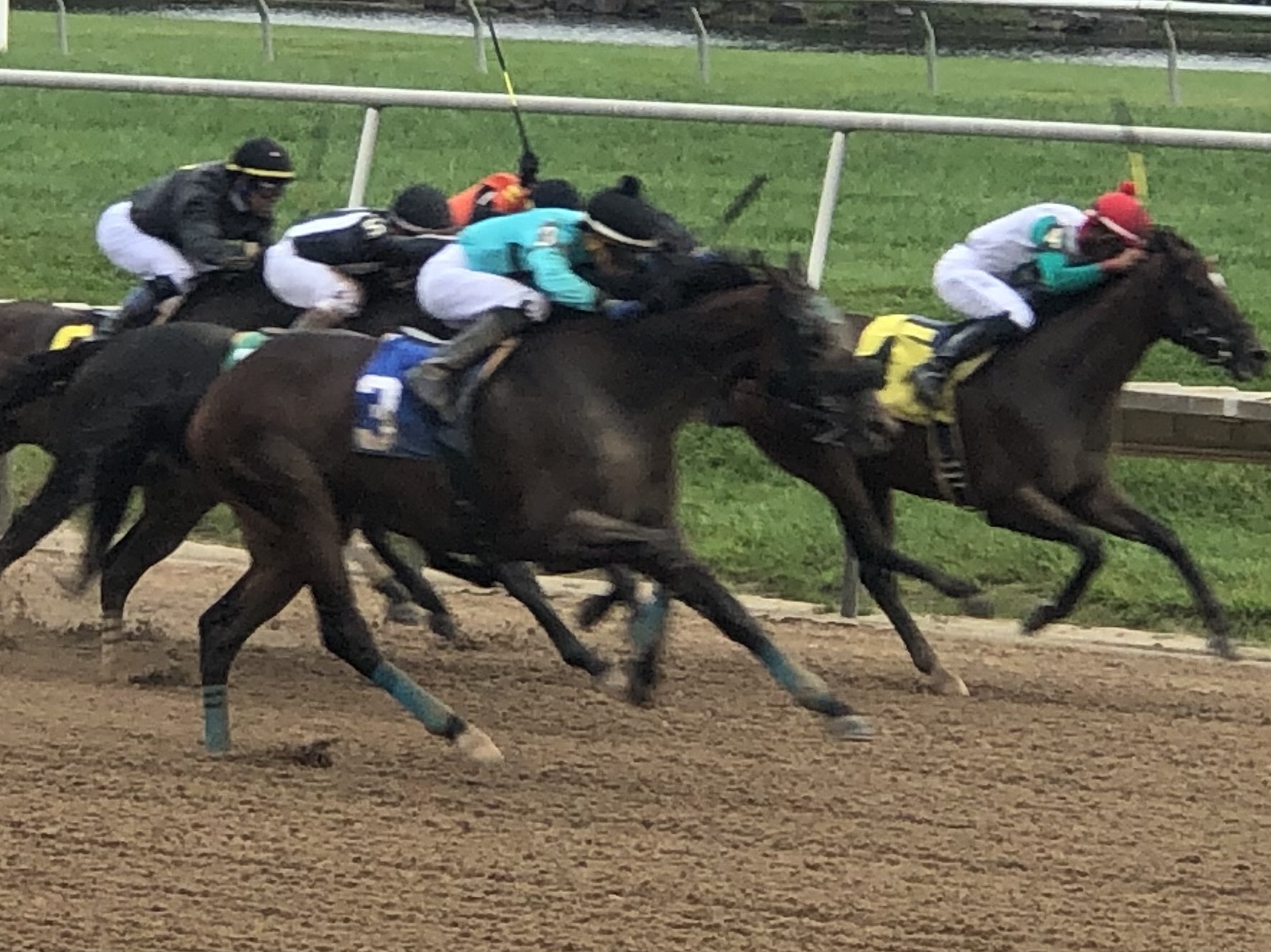 Aqueduct Selections for November 12th, 2021