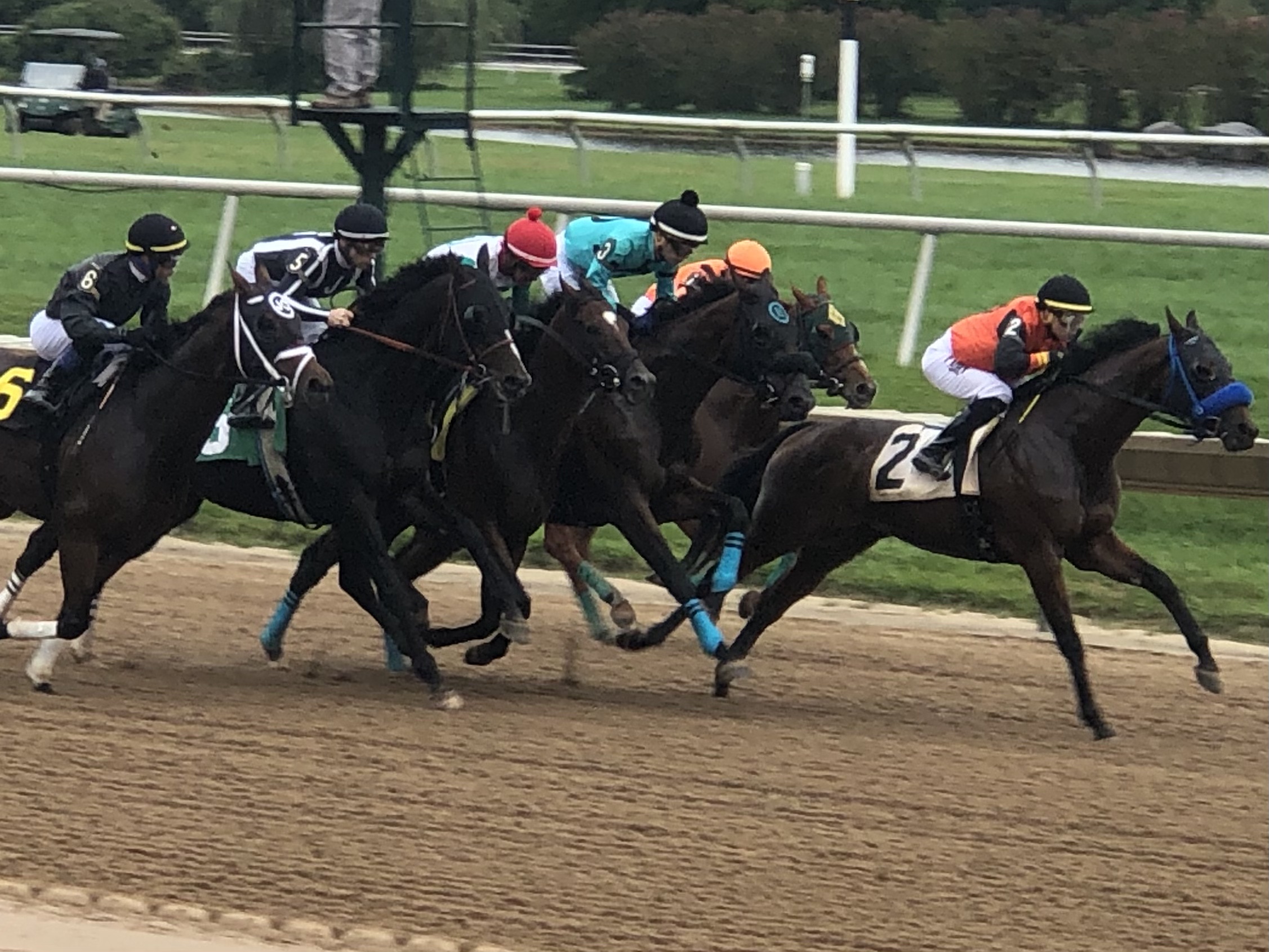 Aqueduct Selections for December 5, 2021