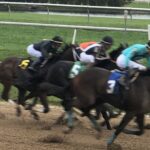 Aqueduct Selections for November 18th, 2021