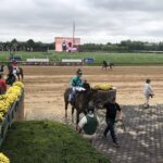 Aqueduct Selections for November 27th, 2021