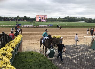 Aqueduct Selections for November 27th, 2021