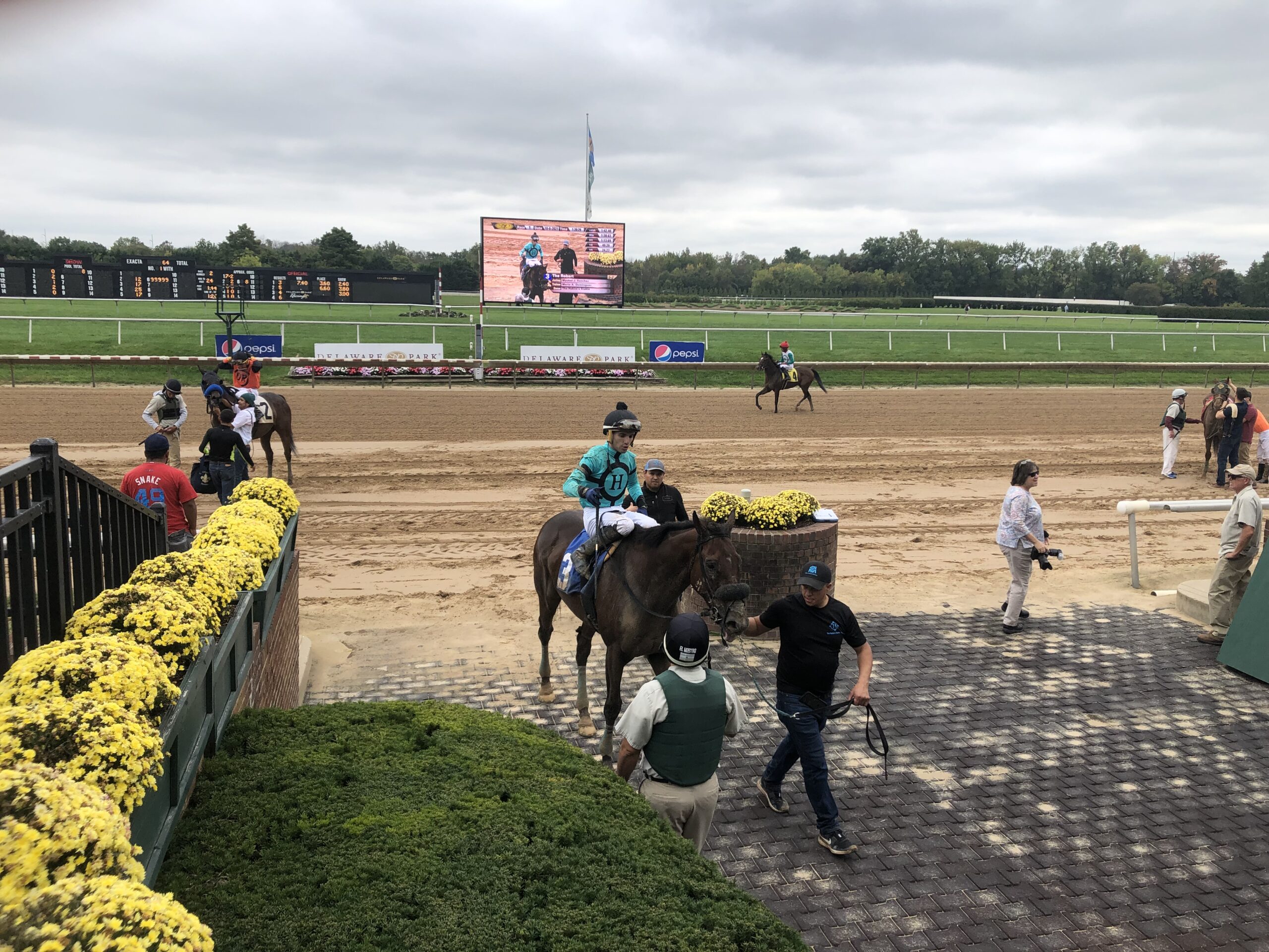 Aqueduct Selections for November 27th, 2021