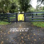 A Visit to Claiborne Farm