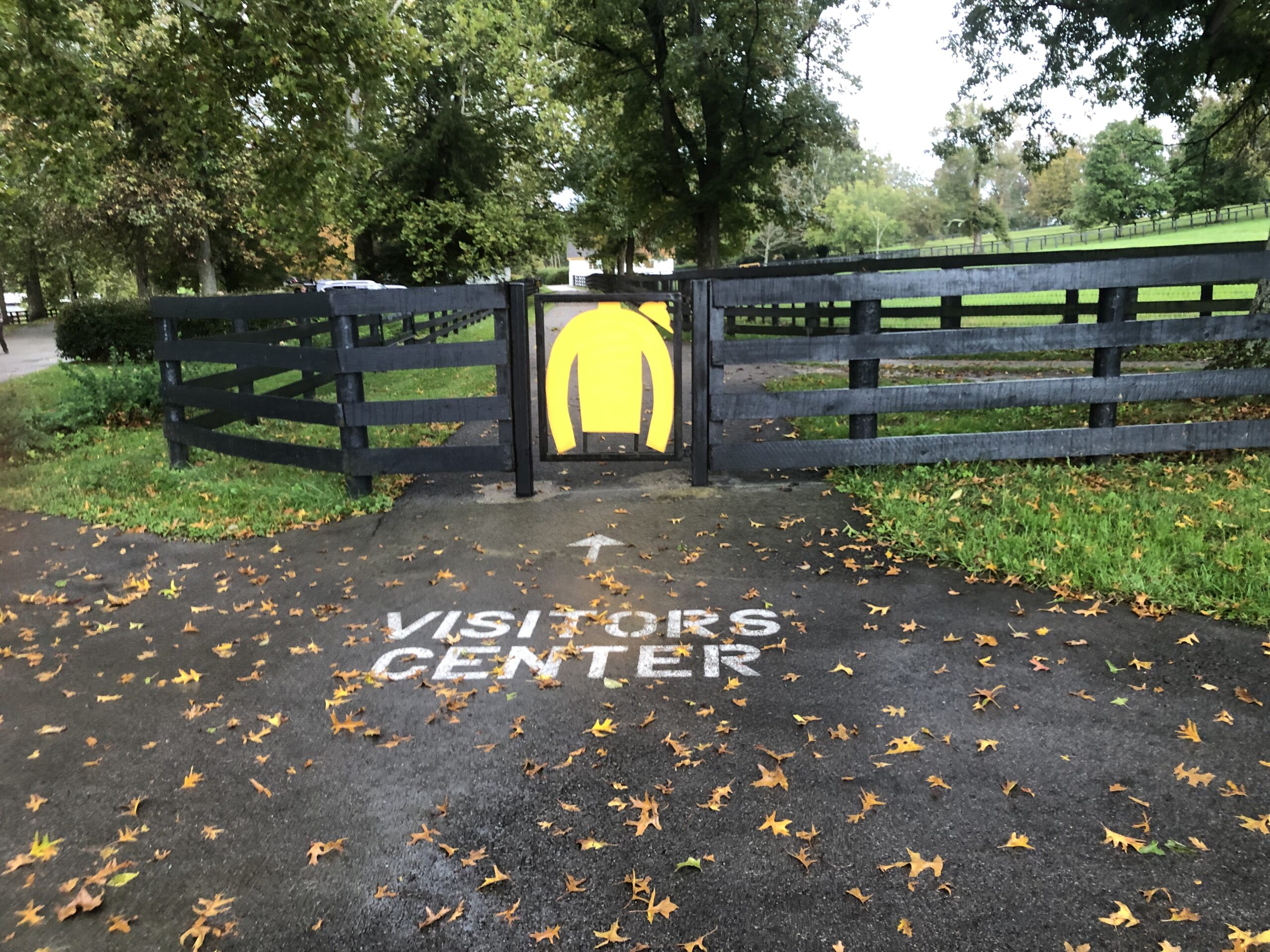 A Visit To Claiborne Farm