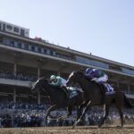 Free Breeders' Cup Picks for November 6th, 2021