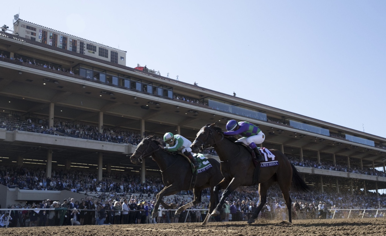 Free Breeders’ Cup Pick  for November 6th, 2021