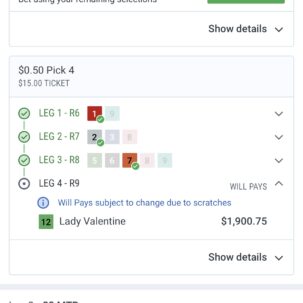 The Skinny Ticket