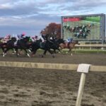 PARX Selections for Wednesday, November 24th, 2021