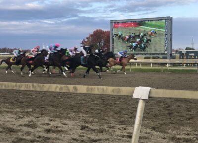 PARX Selections for Wednesday, November 24th, 2021