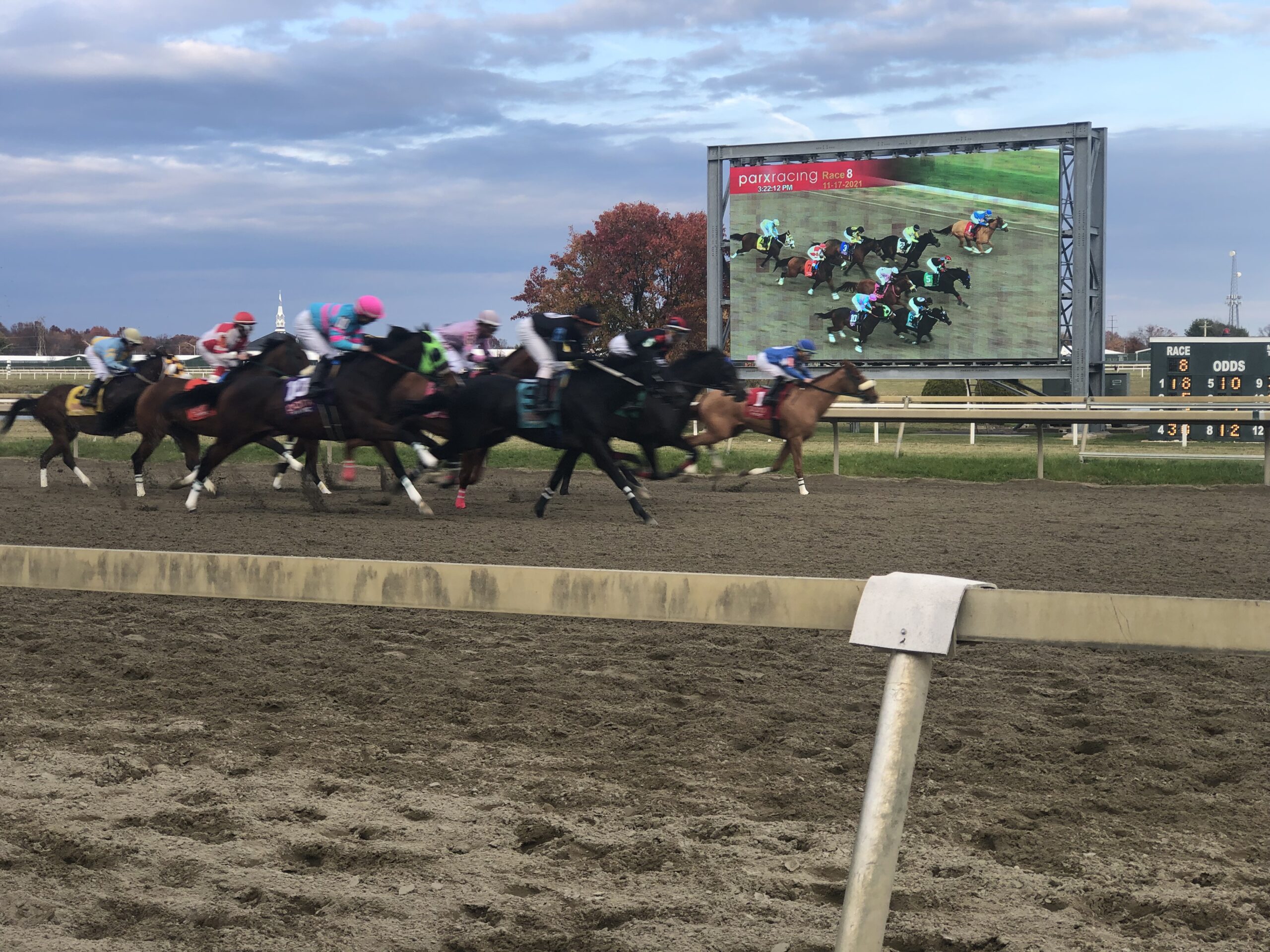 PARX Selections for Wednesday, November 24th, 2021