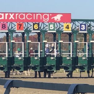 Parx Selections for December 8th, 2021