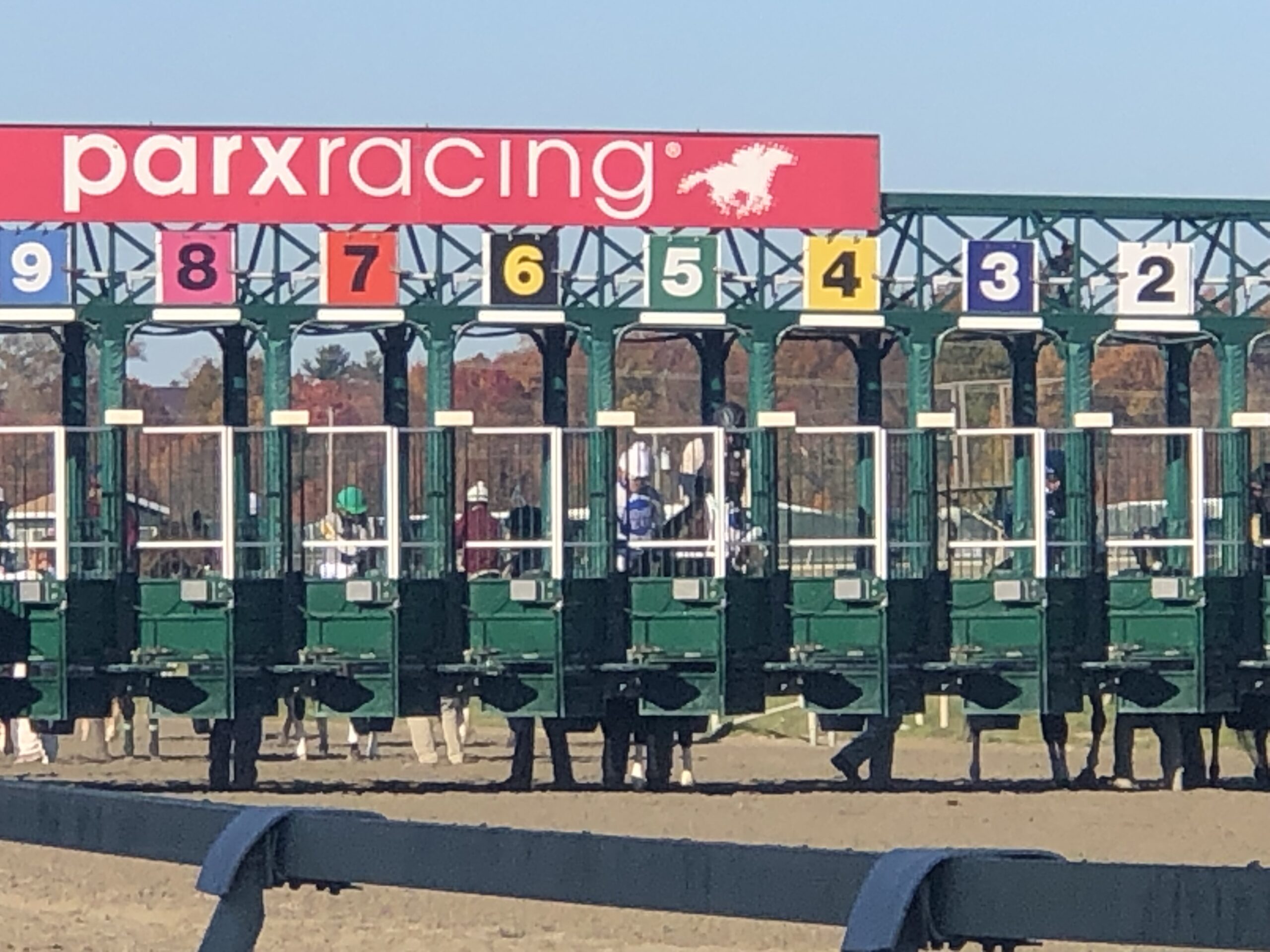 PARX Selections Wednesday December 8th, 2021