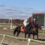 Parx Selections for December 1st, 2021