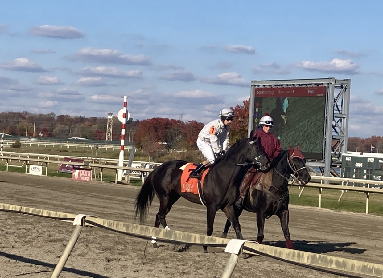 PARX Selections for December 1st, 2021