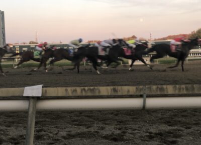 Aqueduct Selections for November 28th, 2021