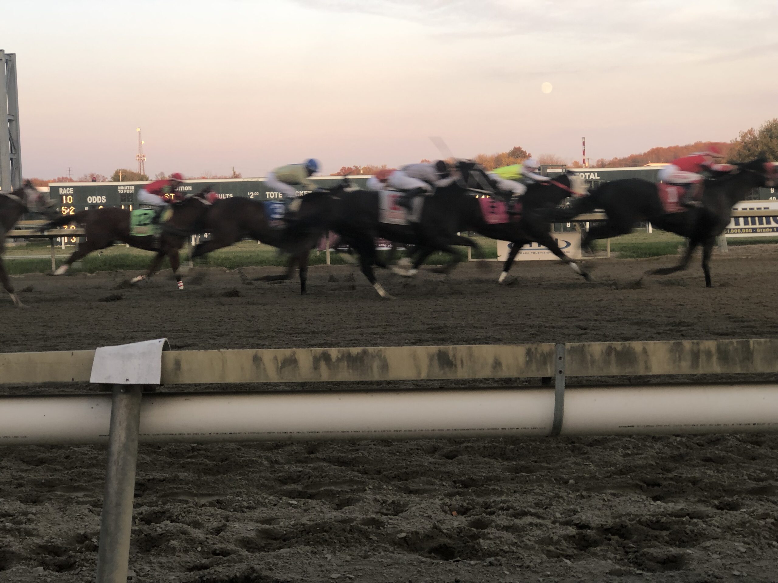 Aqueduct Selections for November 28th, 2021