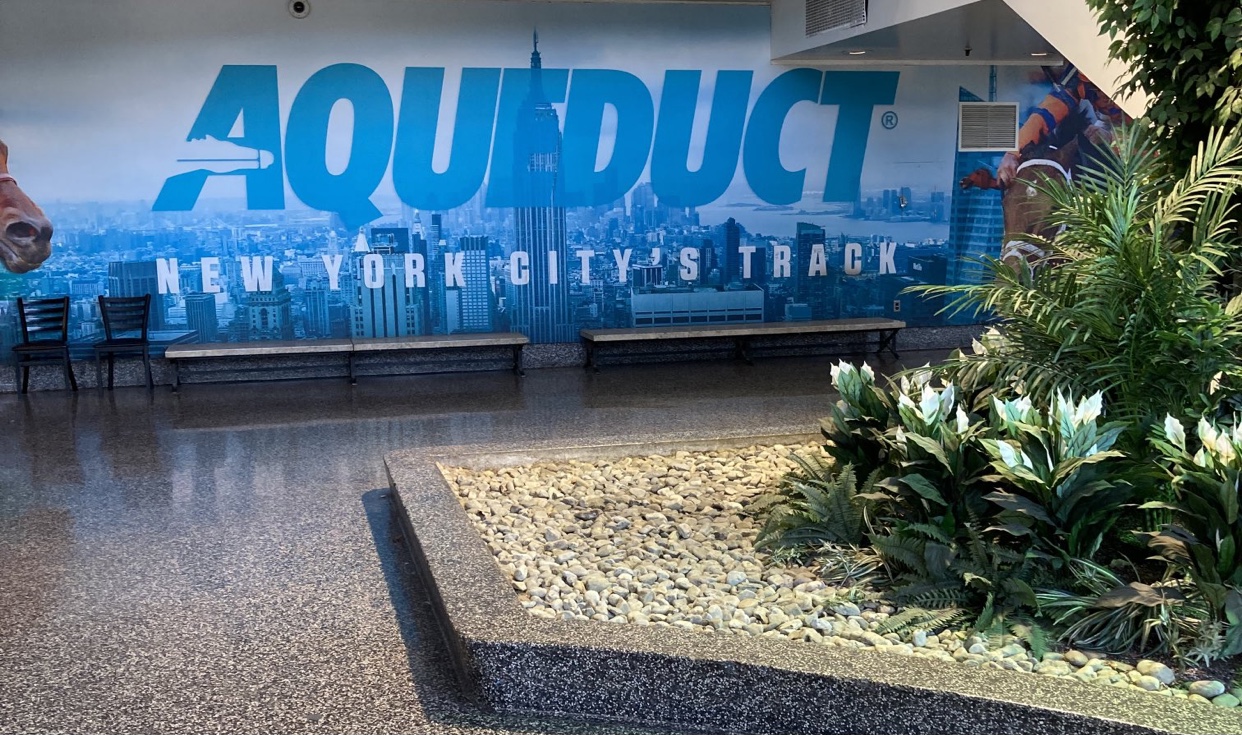 Aqueduct Selections for November 19th, 2021