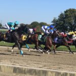 Free Parx Selections for Wednesday, November 10th, 2021