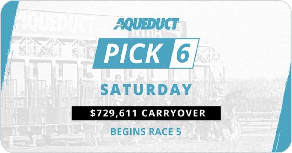 Aqueduct Selections for Pick 6 December 4th, 2021