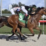 Gulfstream Park Play of the Day 1/9/2026 (Friday)