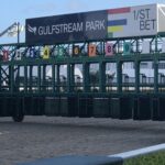 Selections for Gulfstream Park 12/11/2025 (Thursday)