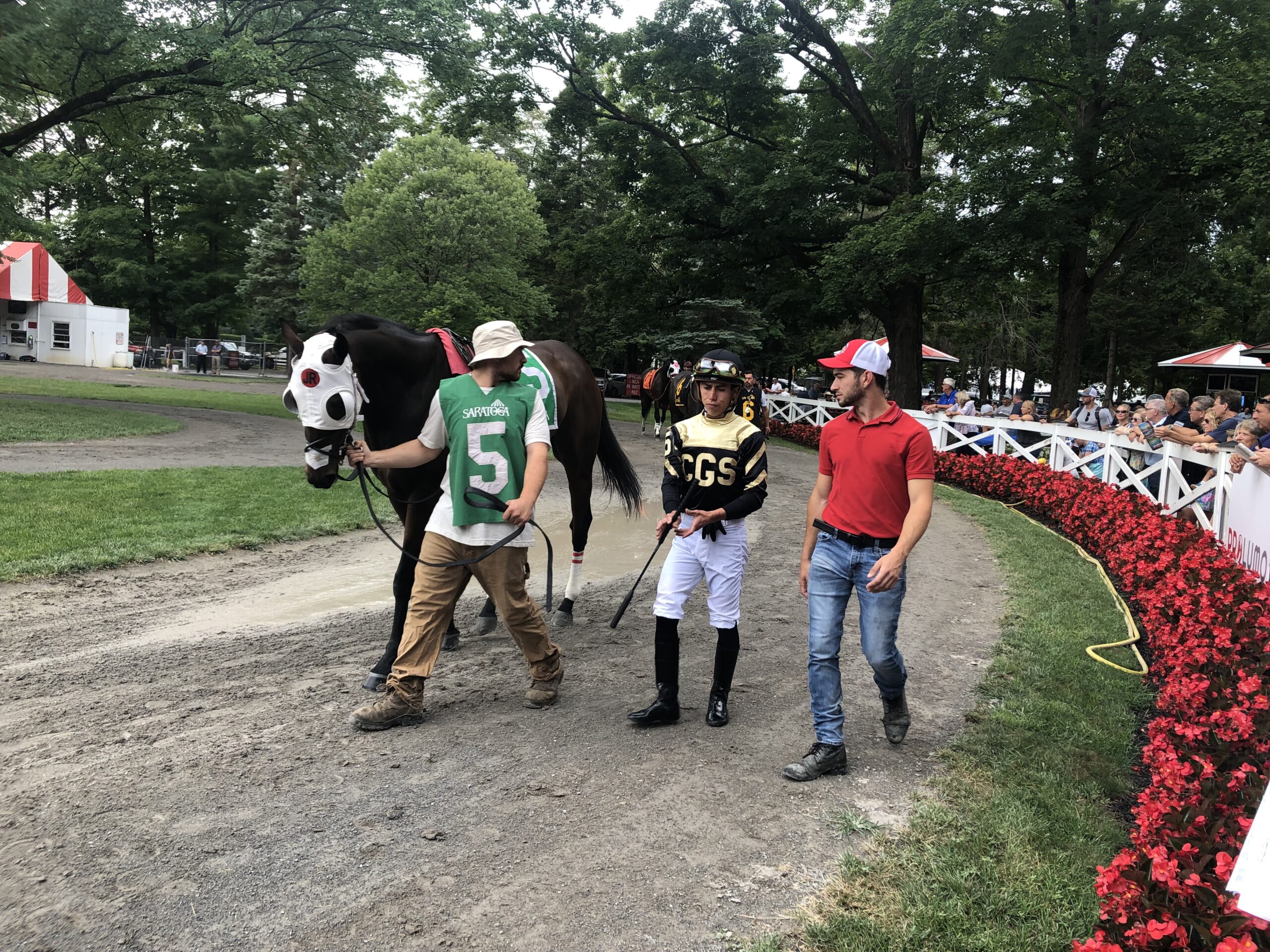 Saratoga Raceway Picks - d57m9nl