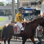 Gulfstream Park Selections for 1/15/2026 (Thursday)