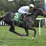 Belmont Racing Festival at Saratoga Selections 7/4/2025 (Friday)