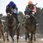 Belmont at Aqueduct Selections 6/9/2025 (Friday)