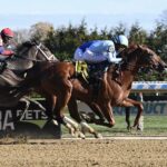 Saratoga Selections for 8/9/2025 (Saturday)