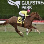 Gulfstream Park Selections for 3/13/2025 (Thursday)