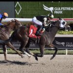 Gulfstream Park Selections for 12/26/2024 (Thursday)