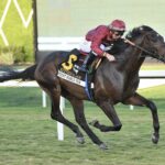 Gulfstream Park Selections for 2/14/2026 (Saturday)