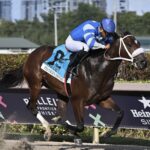 Gulfstream Park Selections for 1/4/2024 (Sunday)