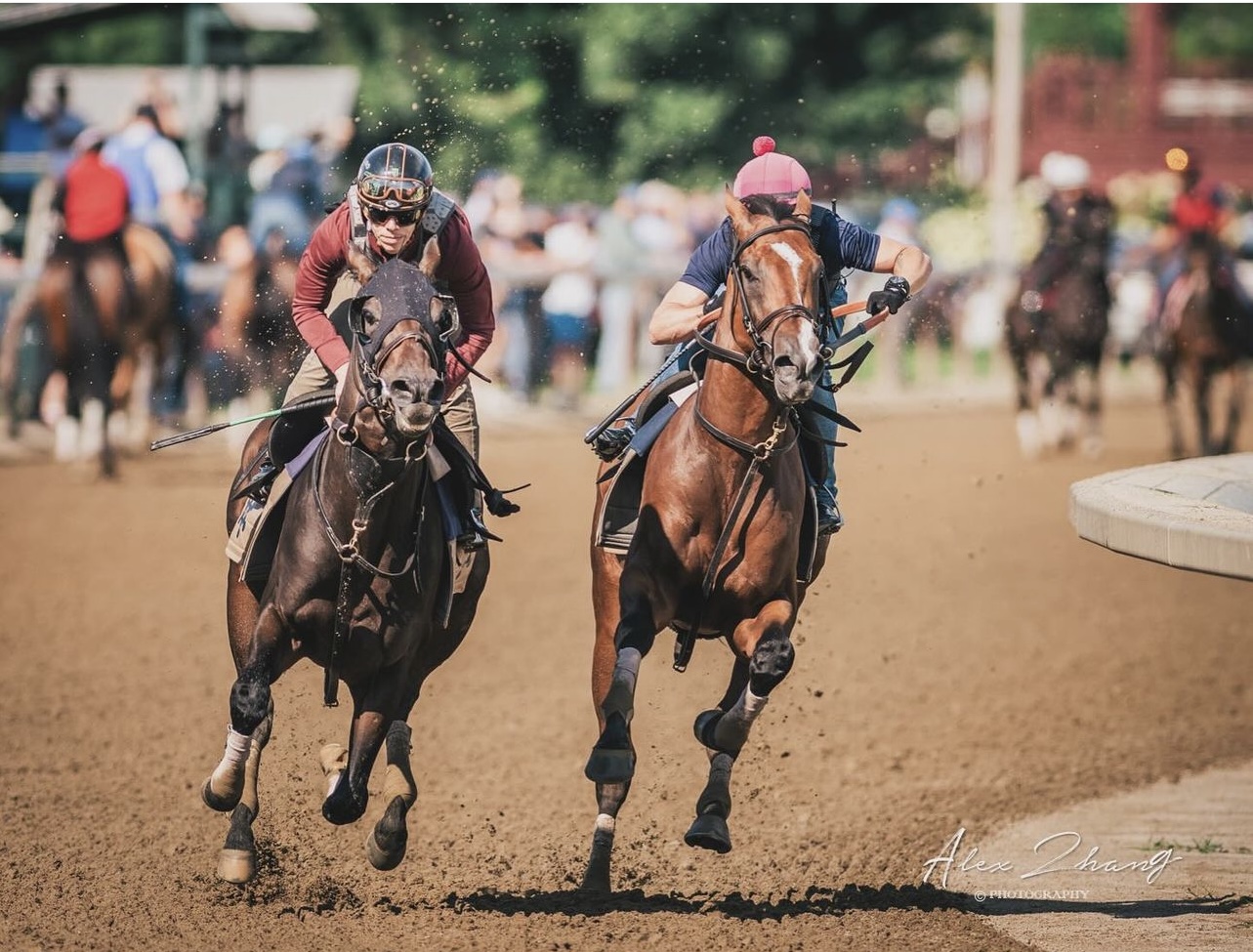 Belmont at Aqueduct Selections for 9/29/2024 (Sunday)