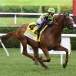Belmont at Aqueduct Selections for 6/29/2025 (Sunday) Next stop Saratoga!!