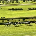 Keeneland Selections for 10/6/2024 (Sunday)