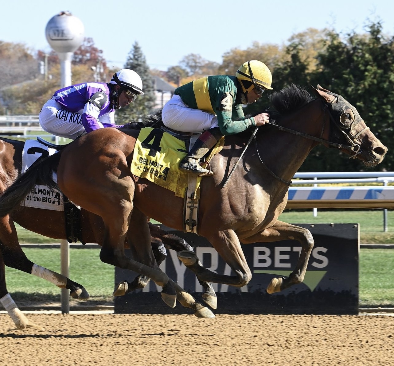 Belmont at Aqueduct Selections for 5/26/2025