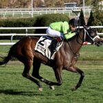 Belmont at Aqueduct Selections for 6/11/2025 (Thursday)